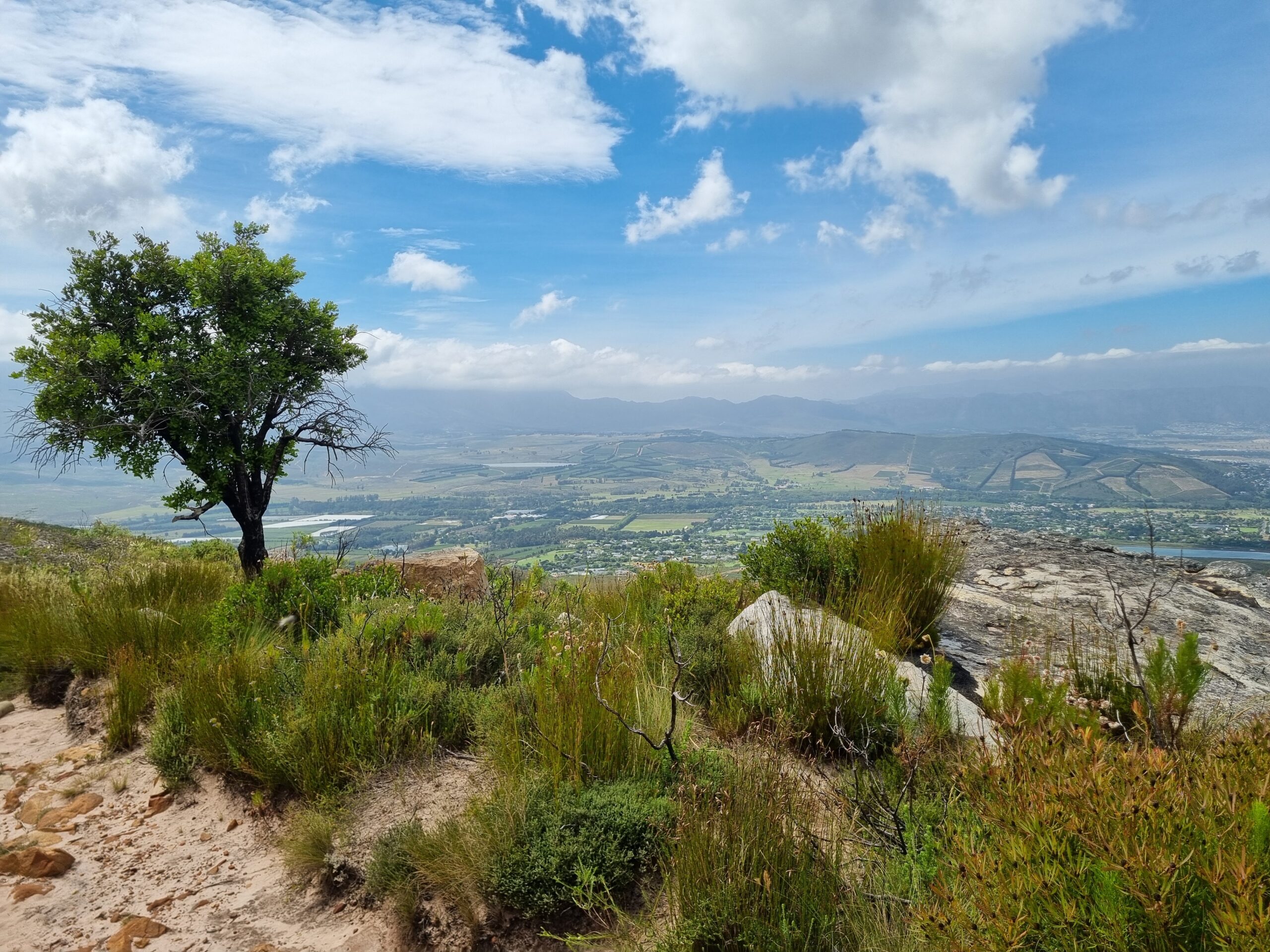 Helderberg Nature Reserve